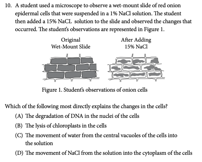 Ap csp 2021 practice exam mcq