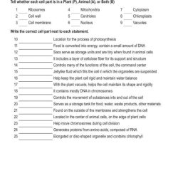 Comparing plant and animal cells worksheet