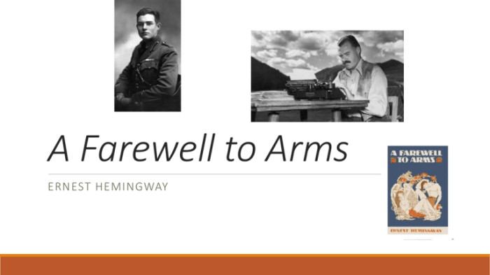 Read the excerpt from hemingway's a farewell to arms