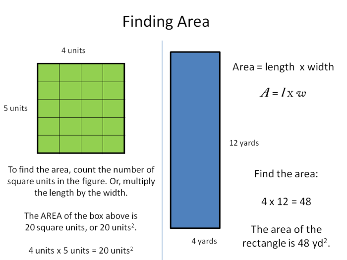 A rectangle has an area of 40 square units