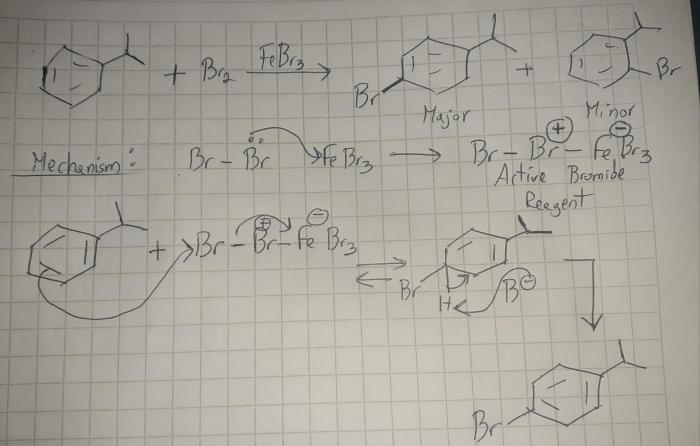 Draw the major monobromination product of this reaction.