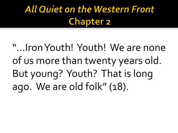 All quiet on the western front chapter 4 summary